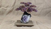 Load image into Gallery viewer, Amethyst and Citrine Cluster Gemstone Tree on Amethyst Matrix, The Money Tree, Amethyst and Citrine Gemstone Tree