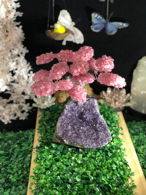 Rose Quartz clustered Gemstone tree on amethyst base, the love tree genuine