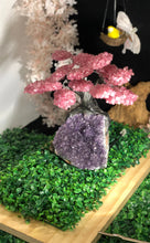 Load image into Gallery viewer, Rose Quartz clustered Gemstone tree on amethyst base, the love tree genuine