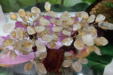 Load image into Gallery viewer, Citrine tree set on onyx and pyrite