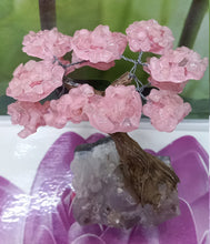 Load image into Gallery viewer, Rose Quartz  Gemstone Tree on Amethyst base, The Genuine Love Tree