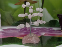 Load image into Gallery viewer, Rose Quartz Tree, Raw Gemstone, Tree Of Love, Chakra Tree Healing Crystal