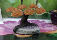 Load image into Gallery viewer, Citrine GemstoneTree set on Amethyst.