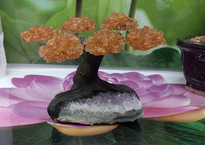 Citrine GemstoneTree set on Amethyst.