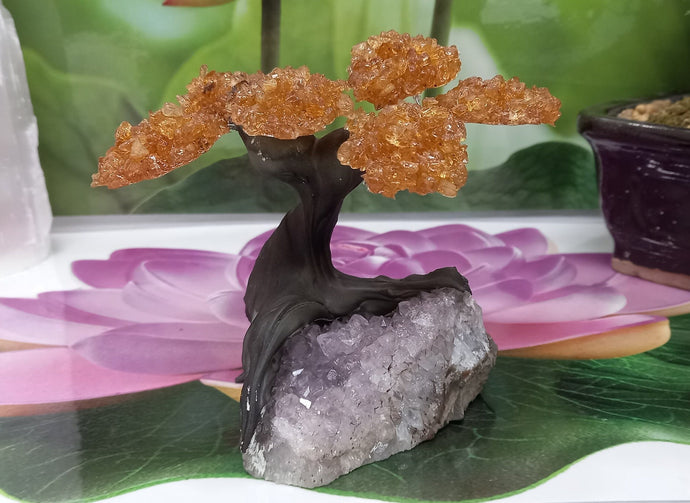 Citrine gemstone tree set on Raw Amethyst.