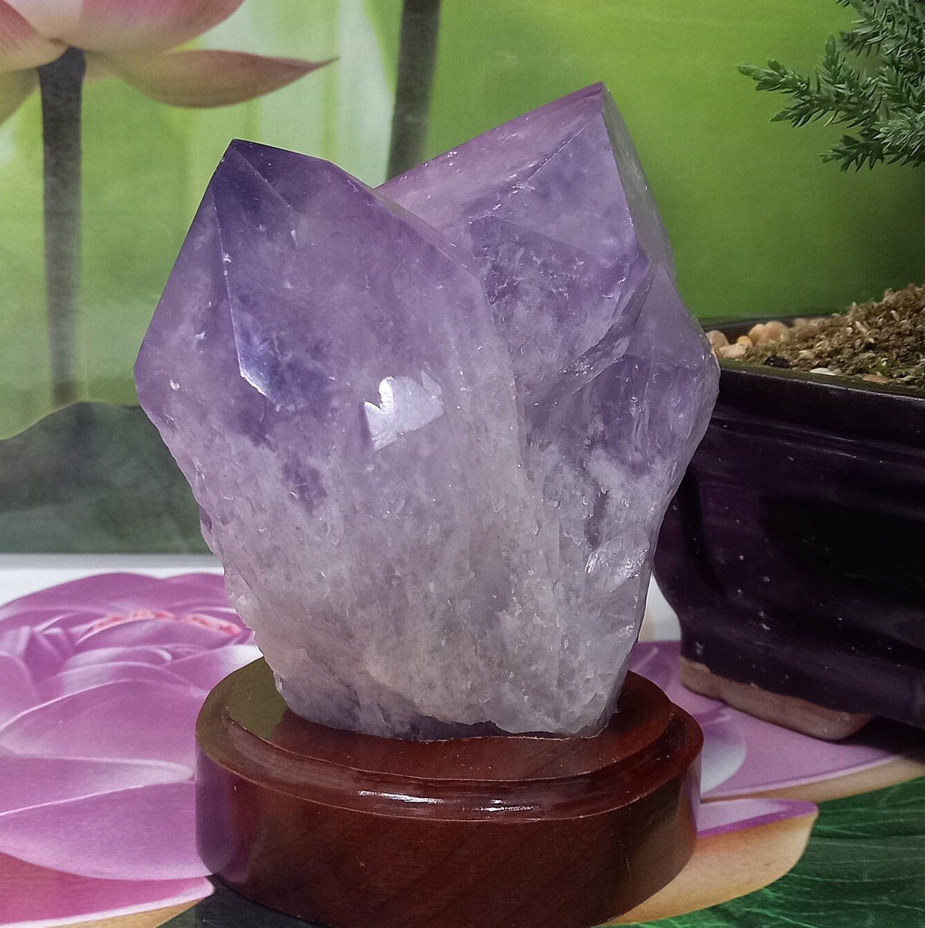 Amethyst Geode set on Wood Base, Amethyst Cluster, Raw Amethyst Cluster, Amethyst Crystal cluster