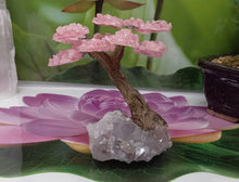 Load image into Gallery viewer, Rose Quartz  Gemstone Tree on Amethyst base, The Genuine Love Tree