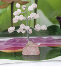 Load image into Gallery viewer, Rose Quartz Tree, Raw Gemstone, Tree Of Love, Chakra Tree Healing Crystal