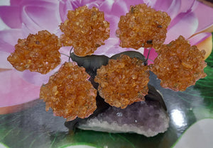 Citrine GemstoneTree set on Amethyst.